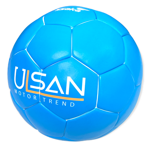 Ulsan Motor Trend Size 5 Custom Ball 36 panel ball