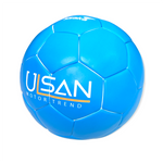 Ulsan Motor Trend Size 3 Custom Ball 36 panel ball
