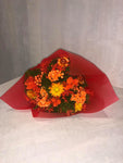 Everlasting dried flowers - Spice Orange Bloom (Imported)