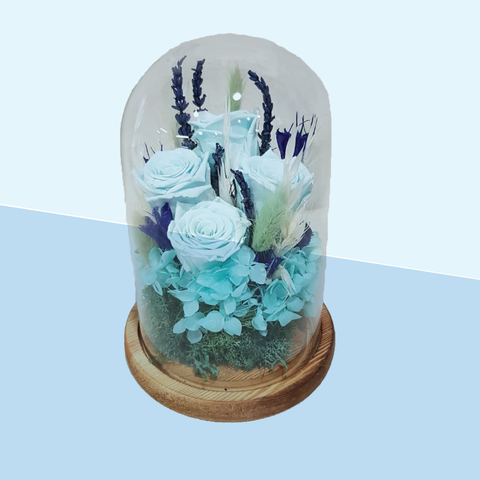 Dried flowers in glass domes - Blue