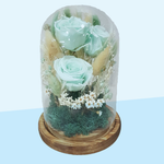 Dried flowers in glass domes - Mint