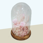 Dried flowers in glass domes  -Pink