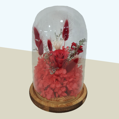 Dried flowers in glass domes - Red